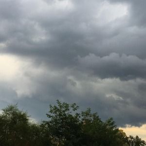 Meet your Posher, Dustin